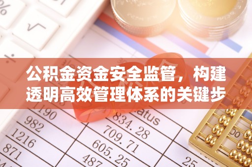 信义公积金资金安全监管，构建透明高效管理体系的关键步骤