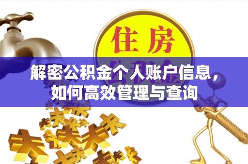 信义解密公积金个人账户信息，如何高效管理与查询