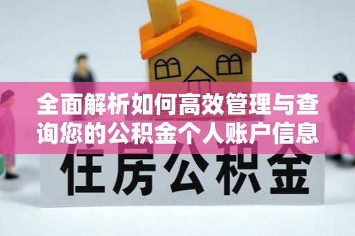 信义全面解析如何高效管理与查询您的公积金个人账户信息